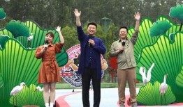 平湖最新爆料新闻视频下载,视频揭秘事件真相，详情敬请关注