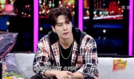 娱乐圈全爆料王嘉尔,娱乐圈全爆料，揭秘明星背后的故事