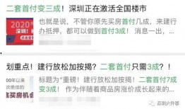 深圳最新爆料消息,揭秘科技巨头新动向与城市未来蓝图