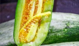 网红蔡二哥吃瓜视频,揭秘网红圈幕后故事